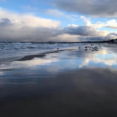 Monte * Sopot
